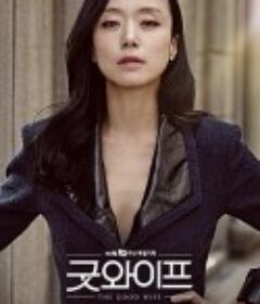 傲骨贤妻 굿 와이프            (2016)