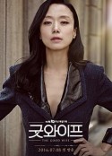 傲骨贤妻 굿 와이프            (2016)