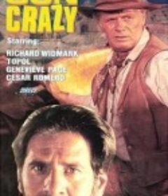 爱之才 A Talent for Loving            (1969)