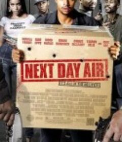 次日危机 Next Day Air            (2009)