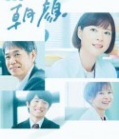 法医朝颜2 監察医 朝顔2            (2020)