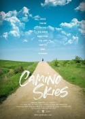 圣雅各的天空 Camino Skies            (2019)