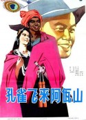 孔雀飞来阿佤山            (1978)