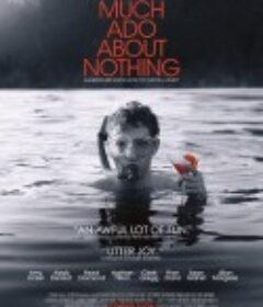 无事生非 Much Ado About Nothing            (2012)