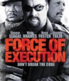 暴力执法 Force of Execution            (2013)