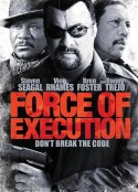 暴力执法 Force of Execution            (2013)