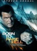 天罡星下凡 Born to Raise Hell            (2010)
