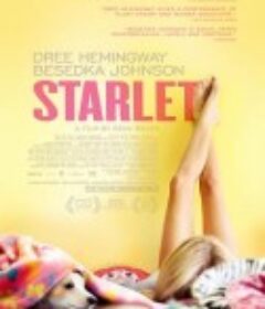 待绽蔷薇 Starlet            (2012)