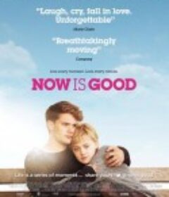 活在当下 Now Is Good            (2012)
