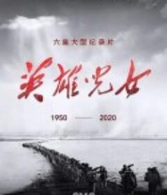 英雄儿女            (2020)