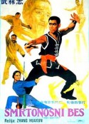 武林志            (1984)