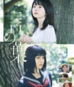 言之叶 言の葉            (2020)