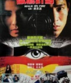 猎鹰行动 獵鷹行動            (1988)