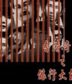 香港奇案之錶行大劫案            (1991)