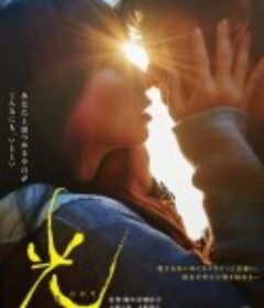 光            (2017)