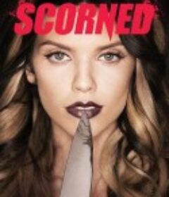 蔑视：残酷不伦史 Scorned            (2013)