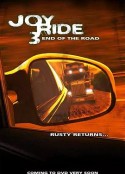 致命玩笑3 Joy Ride 3            (2014)
