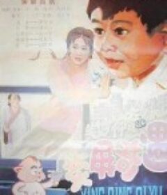 荧屏奇遇            (1991)