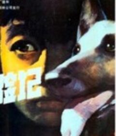狼犬历险记            (1985)