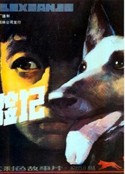 狼犬历险记            (1985)