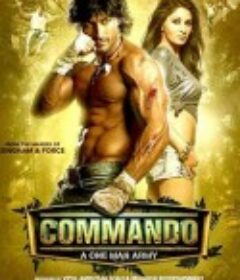 一个人的突击队 Commando            (2013)
