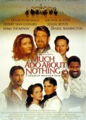 无事生非 Much Ado About Nothing            (1993)