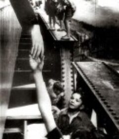 给一毛钱 Tire dié            (1960)