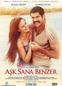 就像爱你 Ask Sana Benzer            (2015)