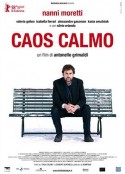 平静的躁动 Caos calmo            (2008)