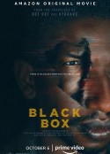 黑盒子 Black Box            (2020)
