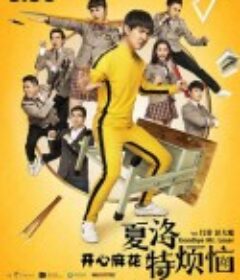 夏洛特烦恼            (2015)