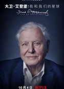 大卫·爱登堡：地球上的一段生命旅程 David Attenborough: A Life on Our Planet            (2020)