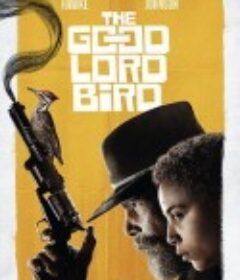 上帝之鸟 The Good Lord Bird            (2020)
