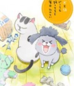 养狗与猫每天都很开心 犬と猫どっちも飼ってると毎日たのしい            (2020)