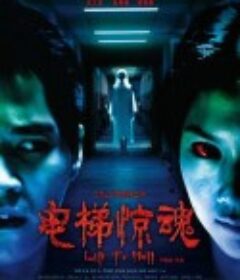 电梯惊魂            (2013)