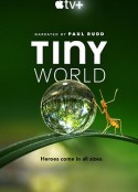 小小世界 第一季 Tiny World Season 1            (2020)