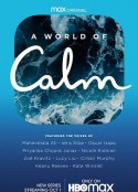宁静的世界 A World of Calm            (2020)