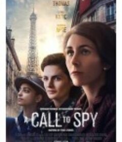自由主义者：间谍的时代 A Call to Spy            (2019)