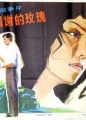 不该凋谢的玫瑰            (1981)