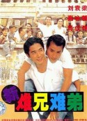 新难兄难弟 新難兄難弟            (1993)