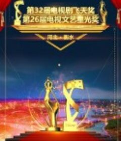 第32届中国电视剧飞天奖颁奖典礼            (2020)