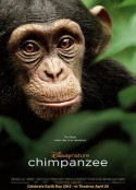 黑猩猩 Chimpanzee            (2012)