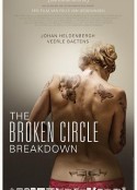 破碎之家 The Broken Circle Breakdown            (2012)