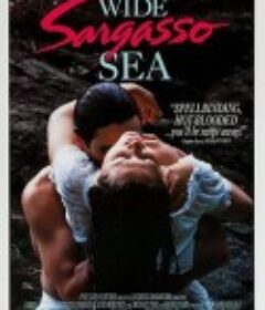 异乡情愁 Wide Sargasso Sea            (1993)