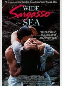 异乡情愁 Wide Sargasso Sea            (1993)