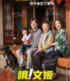 哦！文姬 오! 문희            (2020)