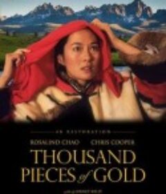 千金 Thousand Pieces of Gold            (1991)