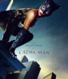 猫女 Catwoman            (2004)