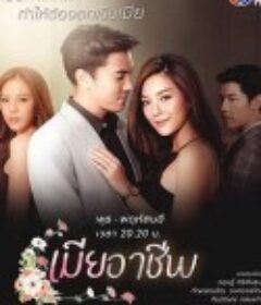 契约娇妻擒夫记 เมียอาชีพ            (2020)