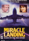 九霄惊魂 Miracle Landing            (1990)